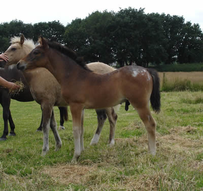 mystic at 6 weeks